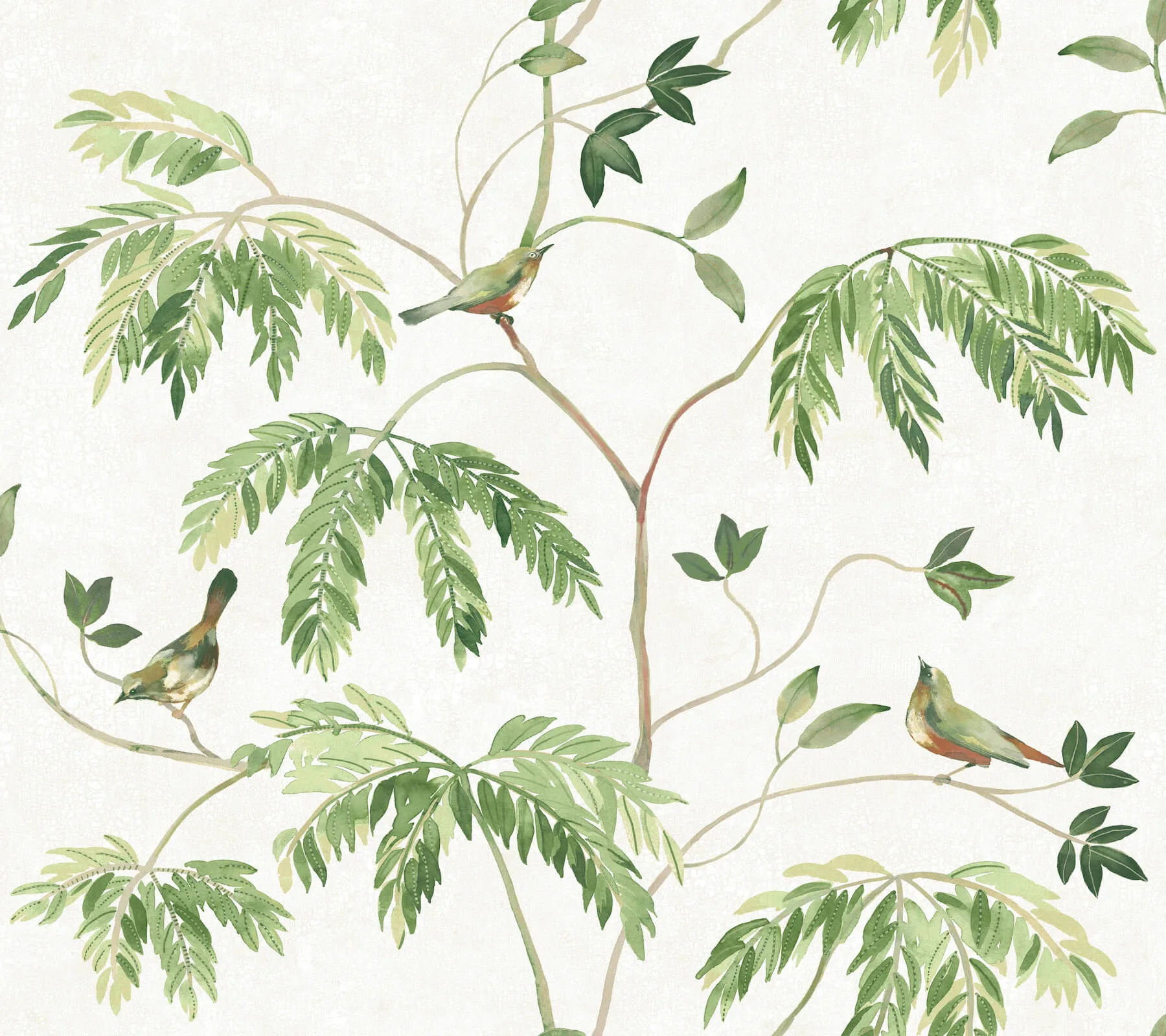 Antonina Vella Cillian wallpaper, color Green, SKU LL3250