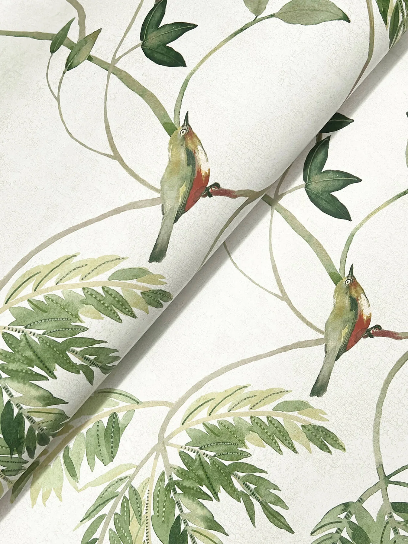 Antonina Vella Cillian - Green Wallpaper | Buy Online Antonina Vella Cillian wallpaper, color Green, SKU LL3250