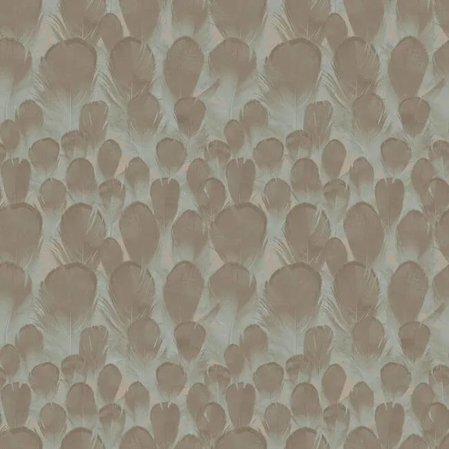 Antonina Vella Feathers wallpaper, color Brown & Turquoise, SKU Y6230104