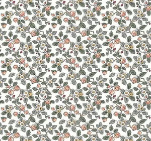 Antonina Vella Framboise wallpaper, color Salmon & Eucalyptus, SKU VP1414