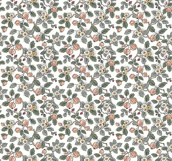 Antonina Vella Framboise wallpaper, color Salmon & Eucalyptus, SKU VP1414