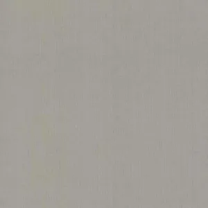 Antonina Vella Gossamer Woven wallpaper, color Silver & Grey, SKU DD3774
