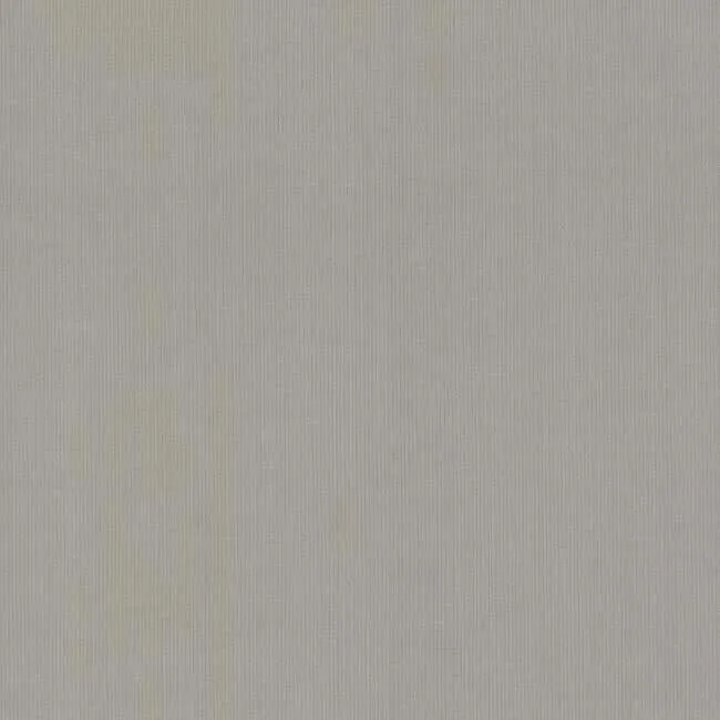 Antonina Vella Gossamer Woven wallpaper, color Silver & Grey, SKU DD3774