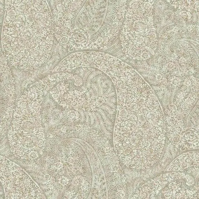 Antonina Vella Kashmir Dreams Paisley wallpaper, color Pink, SKU BO6653