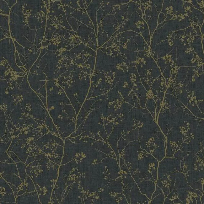 Antonina Vella Luminous Branches wallpaper, color Black & Gold, SKU DD3811
