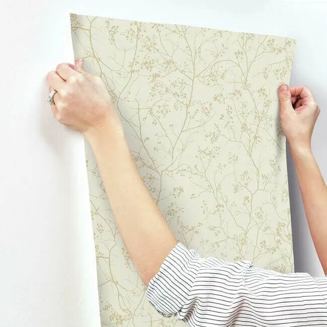 Antonina Vella Luminous Branches - Cream & Gold Wallpaper | Buy Online Antonina Vella Luminous Branches wallpaper, color Cream & Gold, SKU DD3812