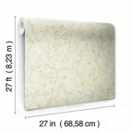 Antonina Vella Luminous Branches - Cream & Gold Wallpaper | Buy Online Antonina Vella Luminous Branches wallpaper, color Cream & Gold, SKU DD3812