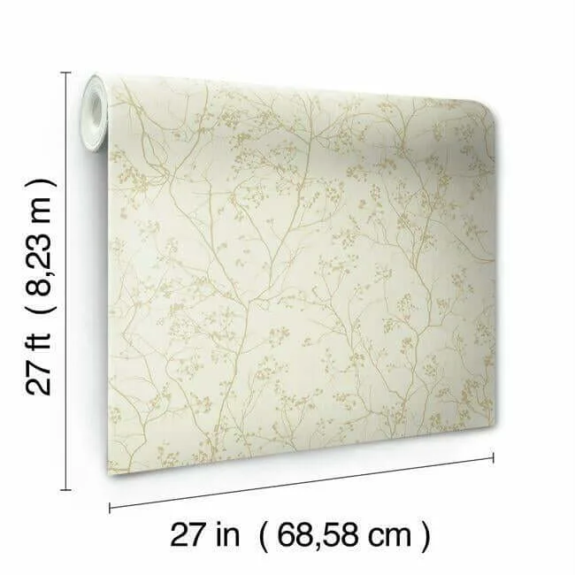 Antonina Vella Luminous Branches - Cream & Gold Wallpaper | Buy Online Antonina Vella Luminous Branches wallpaper, color Cream & Gold, SKU DD3812
