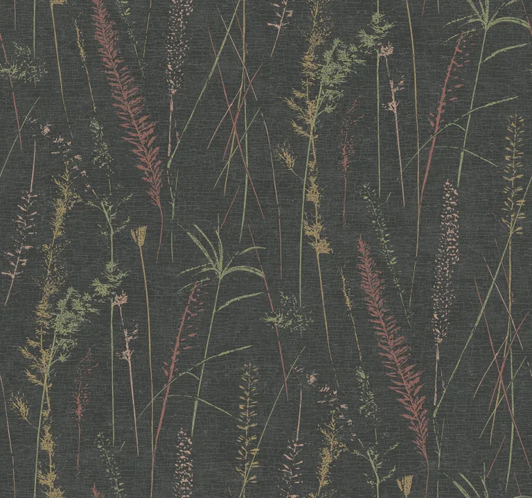 Antonina Vella Meadow Splendor wallpaper, color Black, SKU LL3241