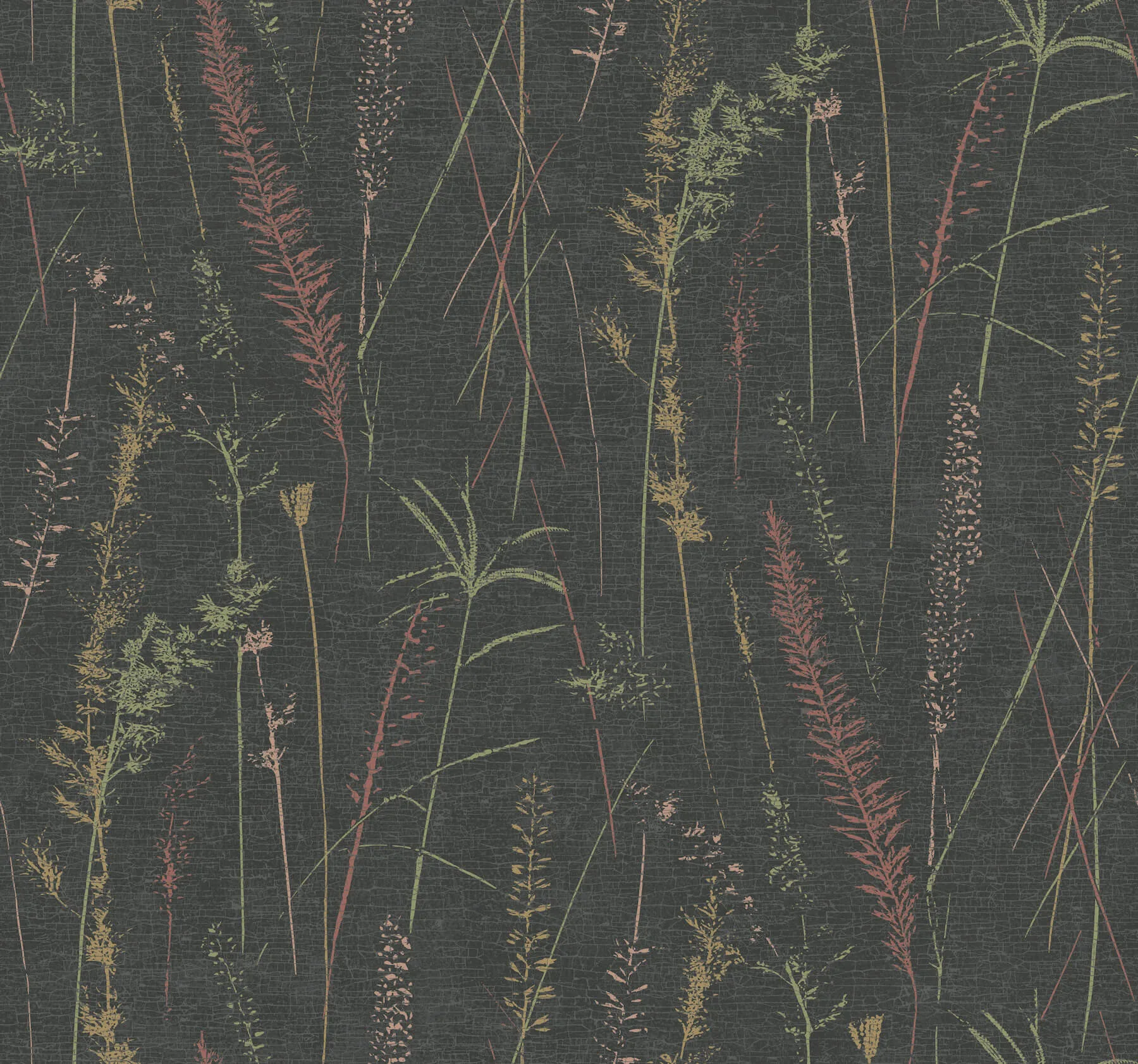 Antonina Vella Meadow Splendor wallpaper, color Black, SKU LL3241
