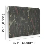 Antonina Vella Meadow Splendor - Black Wallpaper | Buy Online Antonina Vella Meadow Splendor wallpaper, color Black, SKU LL3241