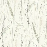 Antonina Vella Meadow Splendor - Charcoal Wallpaper | Buy Online Antonina Vella Meadow Splendor wallpaper, color Charcoal, SKU LL3240