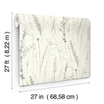 Antonina Vella Meadow Splendor - Charcoal Wallpaper | Buy Online Antonina Vella Meadow Splendor wallpaper, color Charcoal, SKU LL3240