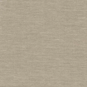 Antonina Vella Paper & Thread Weave wallpaper, color Beige, SKU BO6612