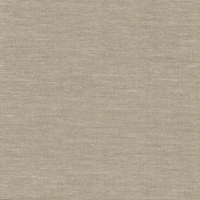 Antonina Vella Paper & Thread Weave wallpaper, color Beige, SKU BO6612