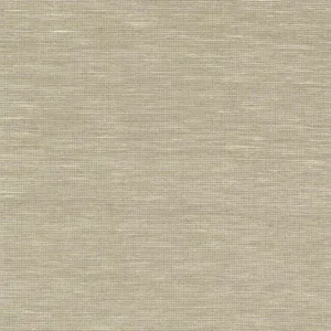 Antonina Vella Paper & Thread Weave wallpaper, color Cream, SKU BO6611