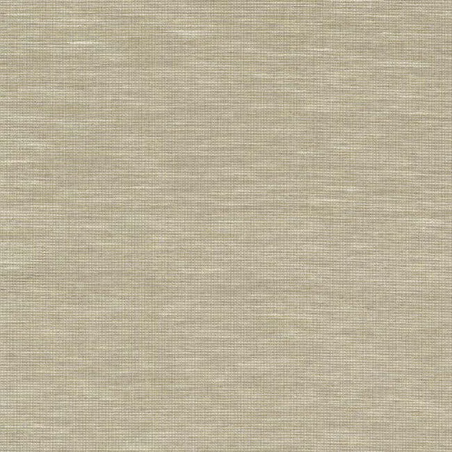 Antonina Vella Paper & Thread Weave wallpaper, color Cream, SKU BO6611