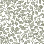 Antonina Vella Rowen - Olive Wallpaper | Buy Online Antonina Vella Rowen wallpaper, color Olive, SKU VP1343