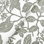Antonina Vella Rowen - Olive Wallpaper | Buy Online Antonina Vella Rowen wallpaper, color Olive, SKU VP1343