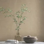 Antonina Vella Shimmering Moire - Taupe Wallpaper | Buy Online Antonina Vella Shimmering Moire wallpaper, color Taupe, SKU MA34922