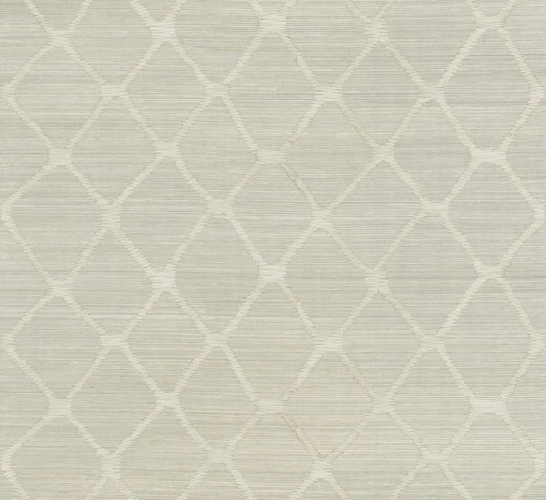 Antonina Vella Tonga wallpaper, color Putty, SKU AB3122