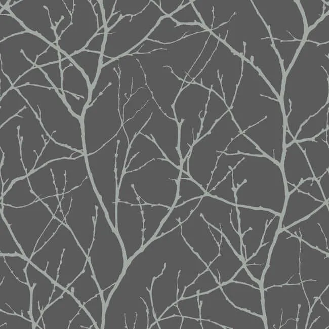 Antonina Vella Trees Silhouette wallpaper, color Charcoal & Silver, SKU MD7125
