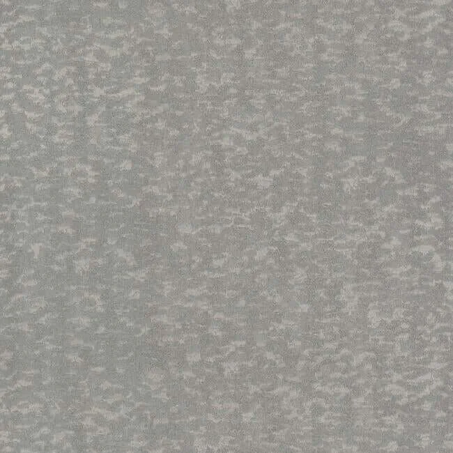 Antonina Vella Weathered Cypress wallpaper, color Blue, SKU DD3753