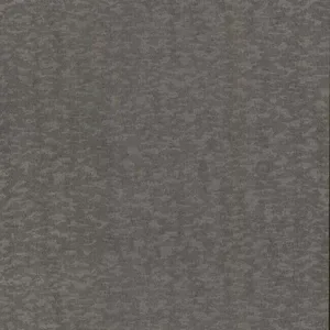 Antonina Vella Weathered Cypress wallpaper, color Silver, SKU DD3751
