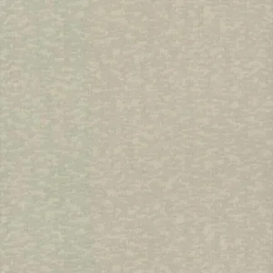 Antonina Vella Weathered Cypress wallpaper, color Taupe, SKU DD3752