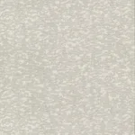 Antonina Vella Weathered Cypress - White Wallpaper | Buy Online Antonina Vella Weathered Cypress wallpaper, color White, SKU DD3754