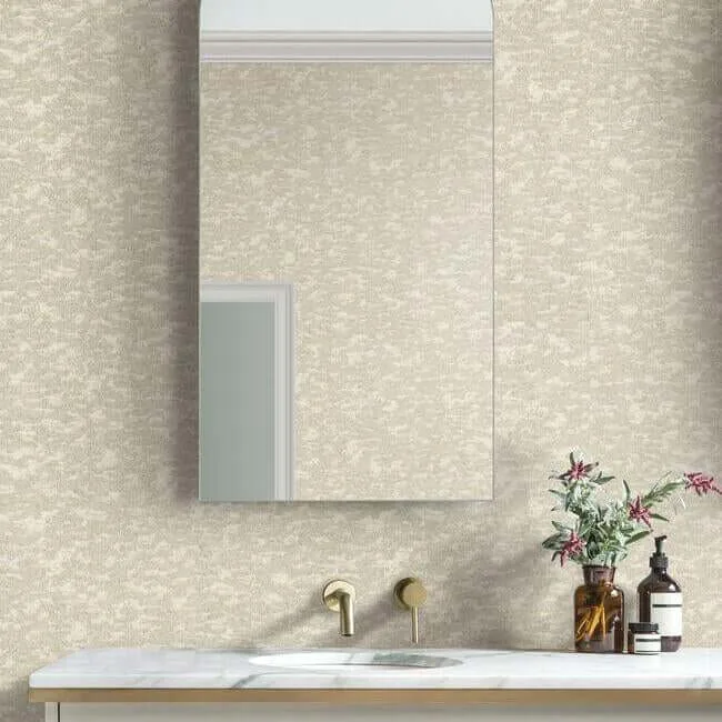 Antonina Vella Weathered Cypress - White Wallpaper | Buy Online Antonina Vella Weathered Cypress wallpaper, color White, SKU DD3754