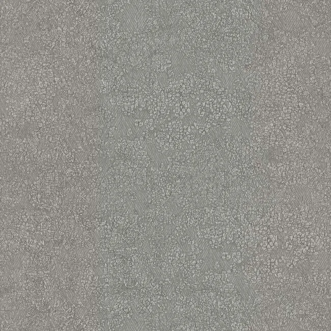 Antonina Vella Weathered wallpaper, color Dark Beige, SKU OG0509
