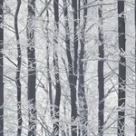 Arthouse Frosted - Silver Wallpaper | Buy Online Arthouse Frosted wallpaper, color Silver, SKU AH670200