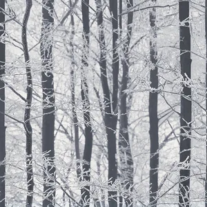 Arthouse Frosted wallpaper, color Silver, SKU AH670200