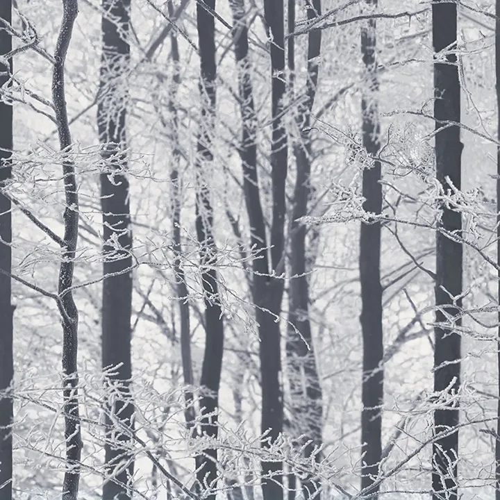 Arthouse Frosted wallpaper, color Silver, SKU AH670200