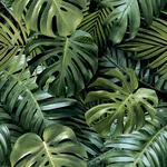 Arthouse Harlynn - Green Wallpaper | Buy Online Arthouse Harlynn wallpaper, color Green, SKU AH924108