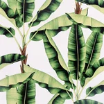 Arthouse Musa - Green Wallpaper | Buy Online Arthouse Musa wallpaper, color Green, SKU AH909604