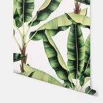 Arthouse Musa - Green Wallpaper | Buy Online Arthouse Musa wallpaper, color Green, SKU AH909604