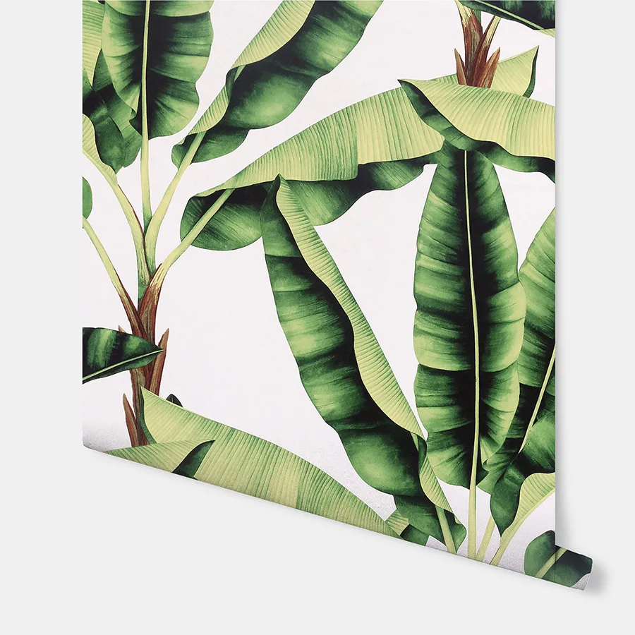 Arthouse Musa - Green Wallpaper | Buy Online Arthouse Musa wallpaper, color Green, SKU AH909604