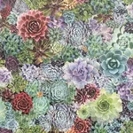 Arthouse Rhea wallpaper, color Multicolor, SKU AH259402