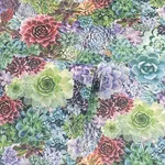 Arthouse Rhea wallpaper, color Multicolor, SKU AH259402