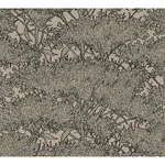 AS Creation Hornbeam - Brown Wallpaper | Buy Online AS Creation Hornbeam wallpaper, color Brown, SKU AS369725