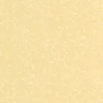 Belbien A-833 Crema Argi Stone architectural film swatch