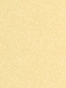 Belbien A-833 Crema Argi Stone architectural film swatch