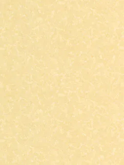 Belbien A-833 Crema Argi Stone architectural film swatch