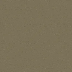 Belbien BC-046 Mastic Basic Color architectural film swatch