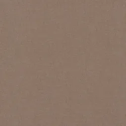 Belbien BR-242 Scar Bronze Metal architectural film swatch