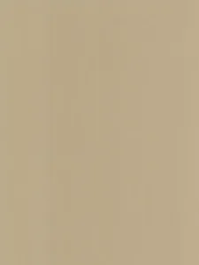 Belbien BR-292 Bronze Blade Metal architectural film swatch