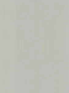 Belbien BR-392 Excess Gray Metal architectural film swatch