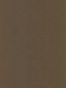 Belbien BR-540 Bronze Sand Metal architectural film swatch